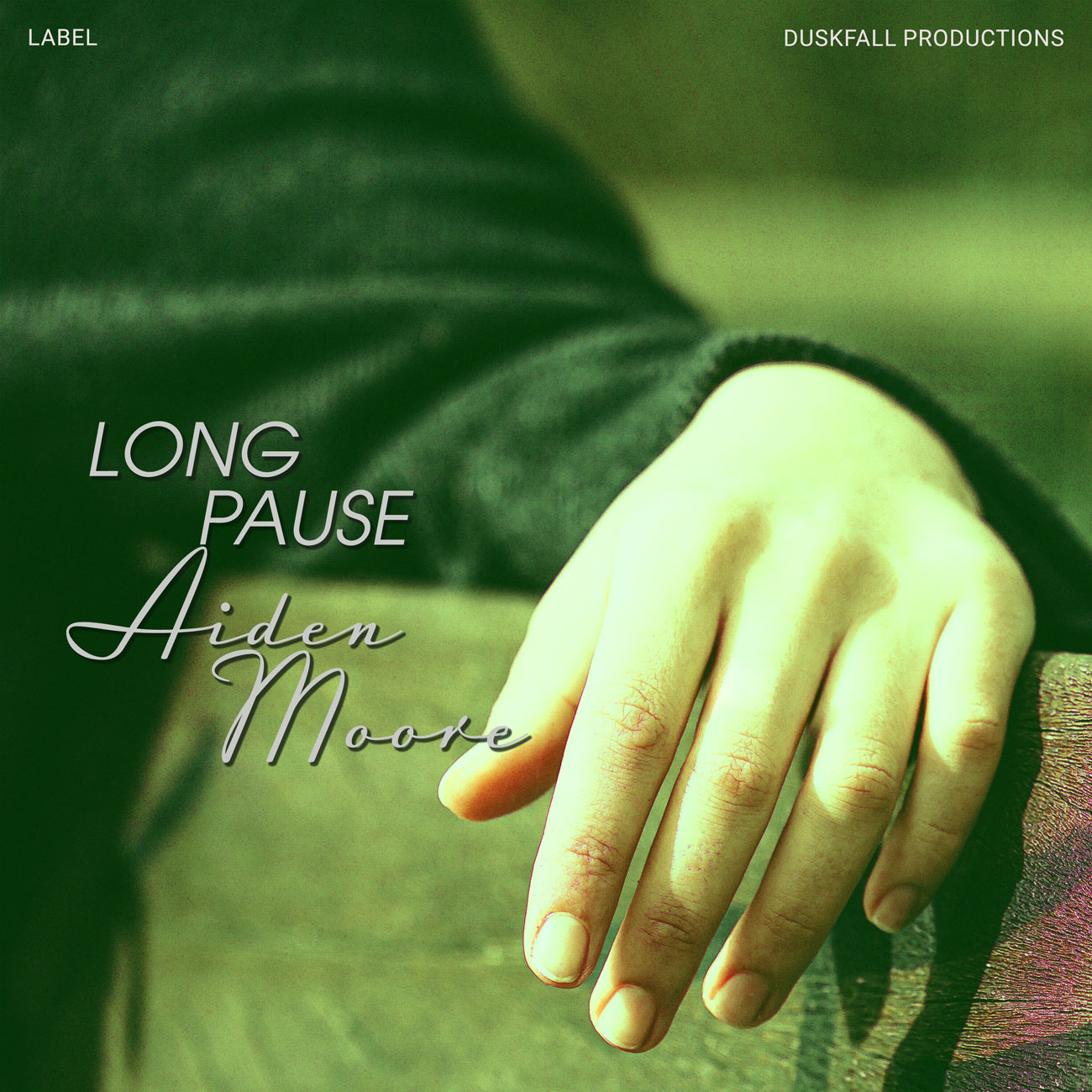 2D view of Premade Indie & Folk Music Album Cover - Mallard #17973 | AlbumArtZone*