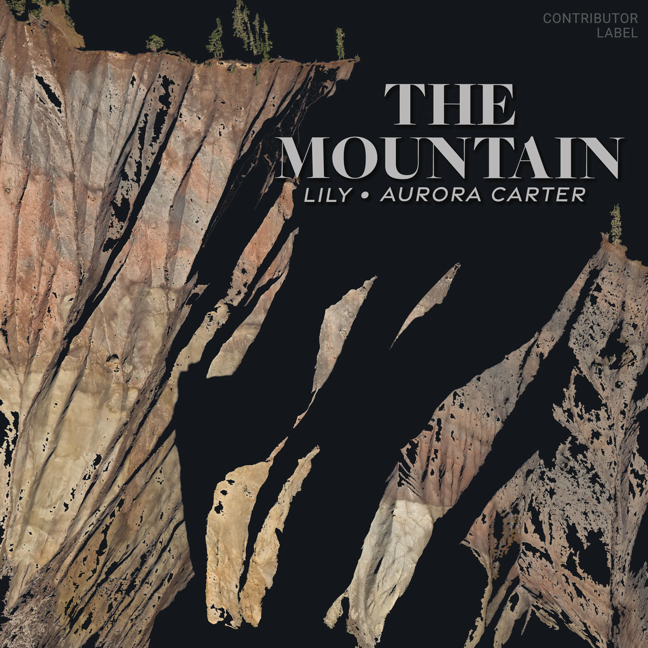 2D view of Premade Indie & Folk Music Album Cover - Sandrift #18245 | AlbumArtZone*