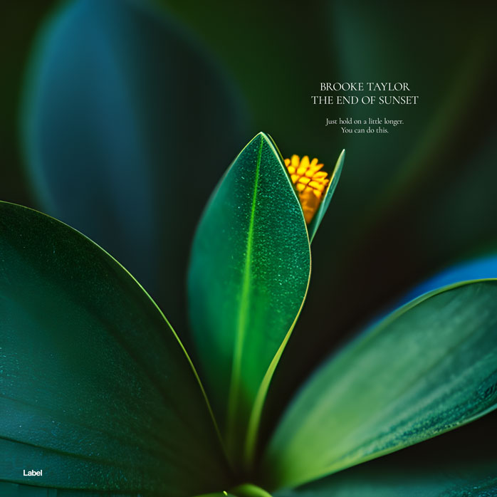 2D view of Premade Contemporary Music Album Cover - Celtic #21026 | AlbumArtZone*