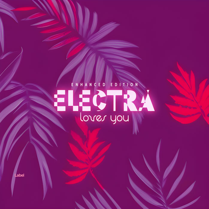 2D view of Premade EDM, House & Dub Album Cover - Disco #21092 | AlbumArtZone*