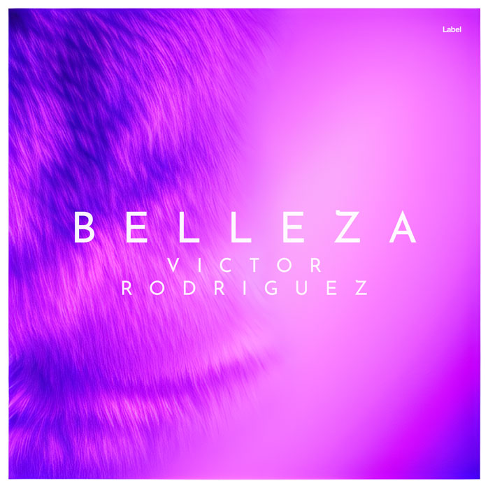 2D view of Premade Dance & House Album Cover - Heliotrope #21191 | AlbumArtZone*