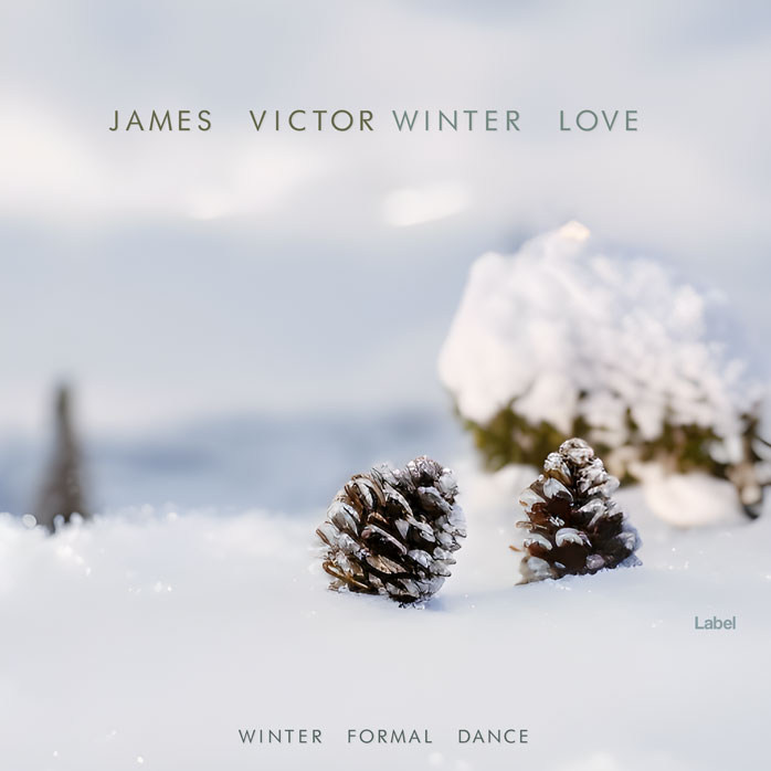 2D view of Premade Christmas Music Book Cover - Mischka #21502 | AlbumArtZone*