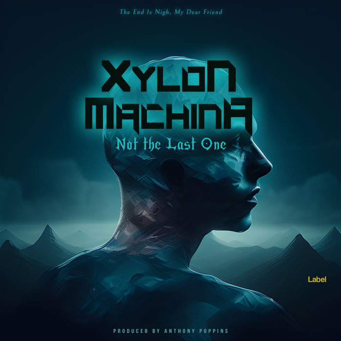 2D view of Premade EDM, House & Dub Book Cover - Black Pearl #21517 | AlbumArtZone*