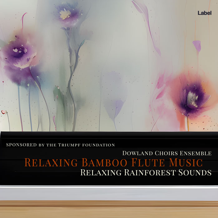 2D view of Premade Classical & Romantic Music Album Cover - Silk #21727 | AlbumArtZone*
