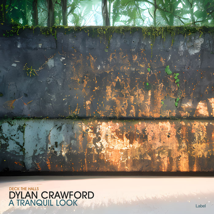 2D view of Premade Contemporary Music Album Cover - Nandor #21807 | AlbumArtZone*