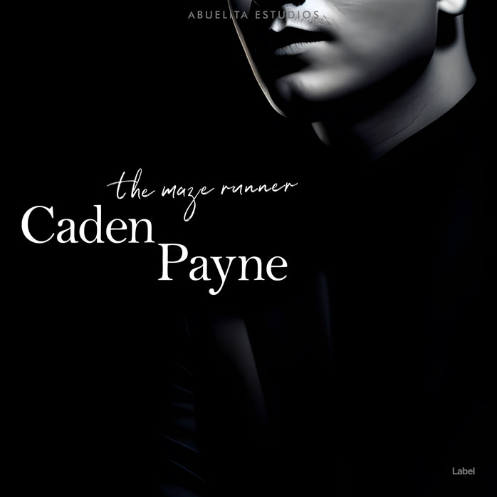 2D view of Premade Pop Album Cover - Black #21836 | AlbumArtZone*