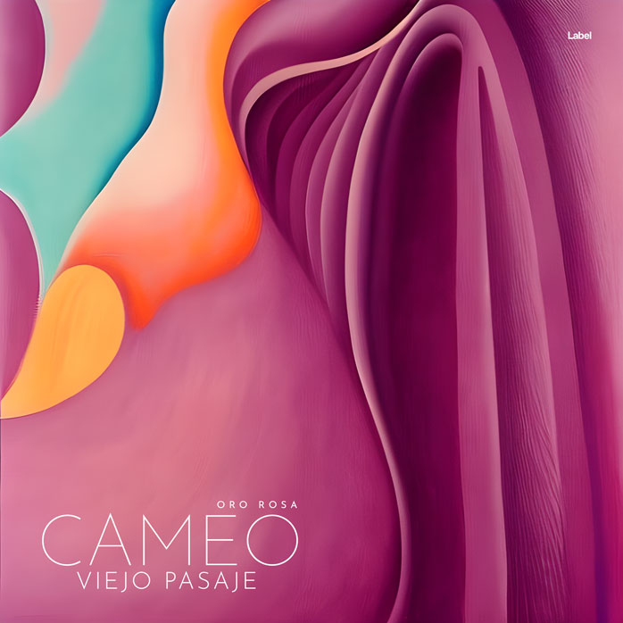 2D view of Premade Pop Album Cover - Rouge #22168 | AlbumArtZone*