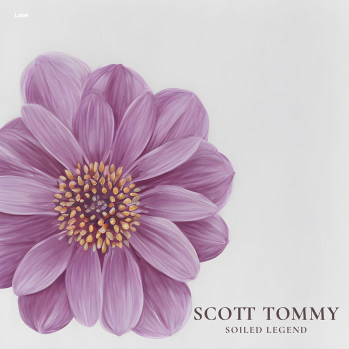 2D view of Premade Pop Album Cover - Bon Jour #22202 | AlbumArtZone*