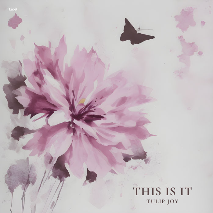 2D view of Premade Pop Album Cover - Pale Slate #22233 | AlbumArtZone*