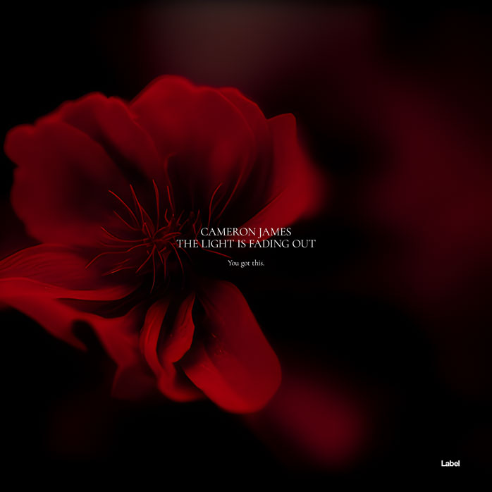 2D view of Premade Contemporary Music Album Cover - Creole #22341 | AlbumArtZone*