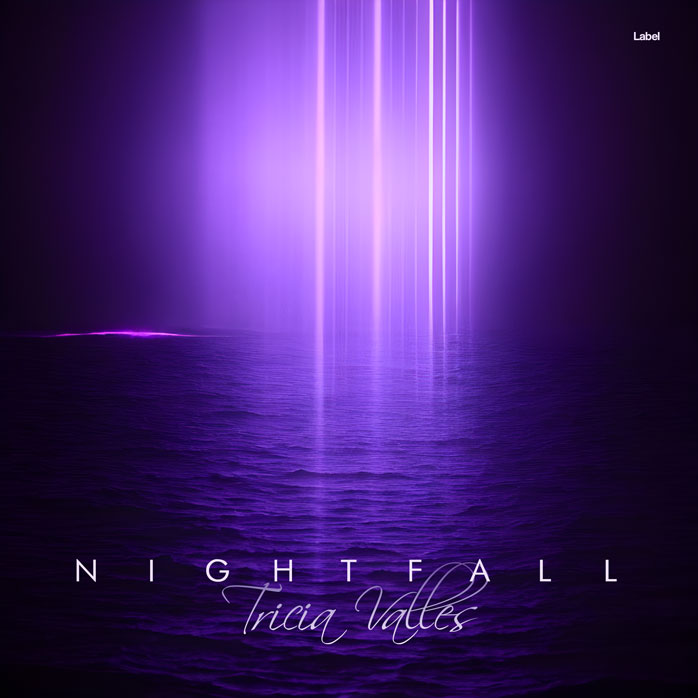 2D view of Premade EDM, House & Dub Album Cover - Black Rock #22876 | AlbumArtZone*