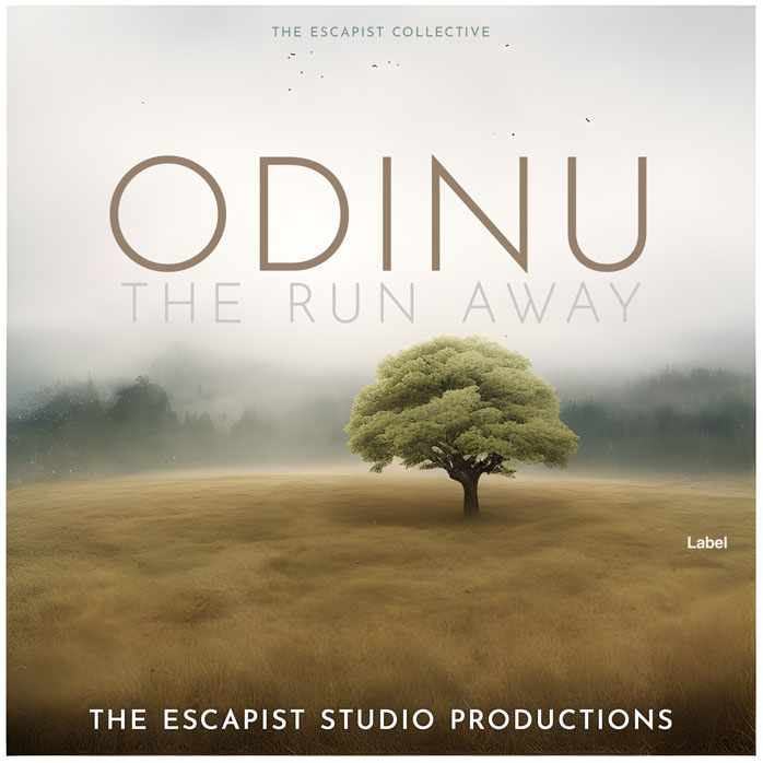 2D view of Premade Indie & Folk Music Book Cover - Westar #23395 | AlbumArtZone*