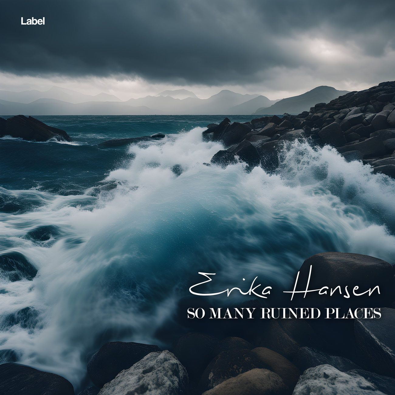 2D view of Premade Indie & Folk Music Book Cover - Pickled Bluewood #23852 | AlbumArtZone*