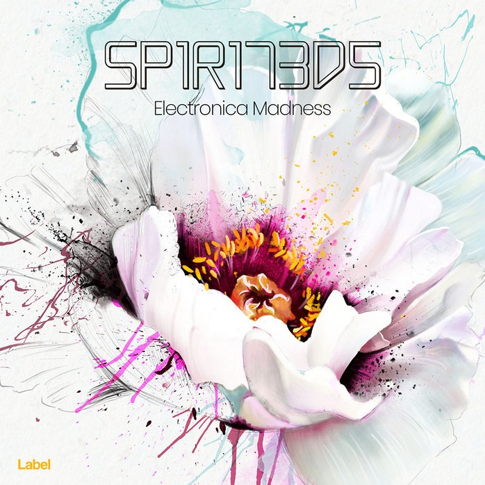 Premade Book Cover Mischka