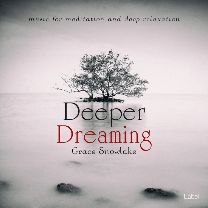 Premade Book Cover Pale Slate