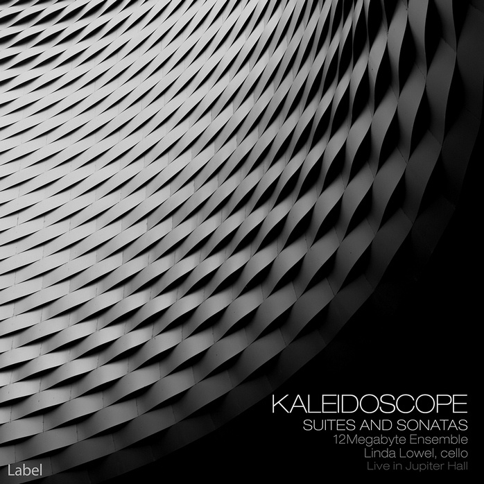 Premade Book Cover Silver