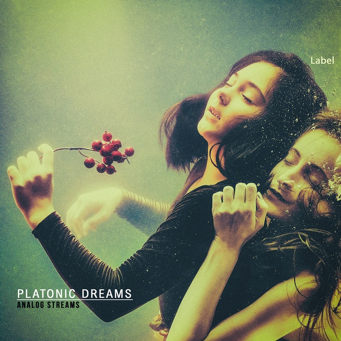 Premade Book Cover Green Smoke