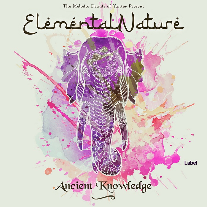 Premade Book Cover Westar