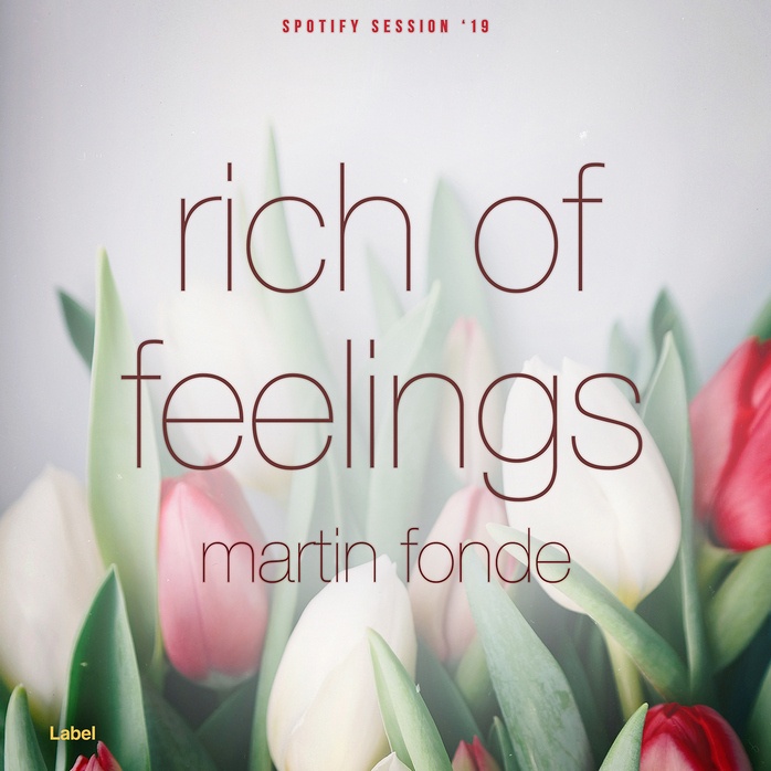 Premade Book Cover Swiss Coffee