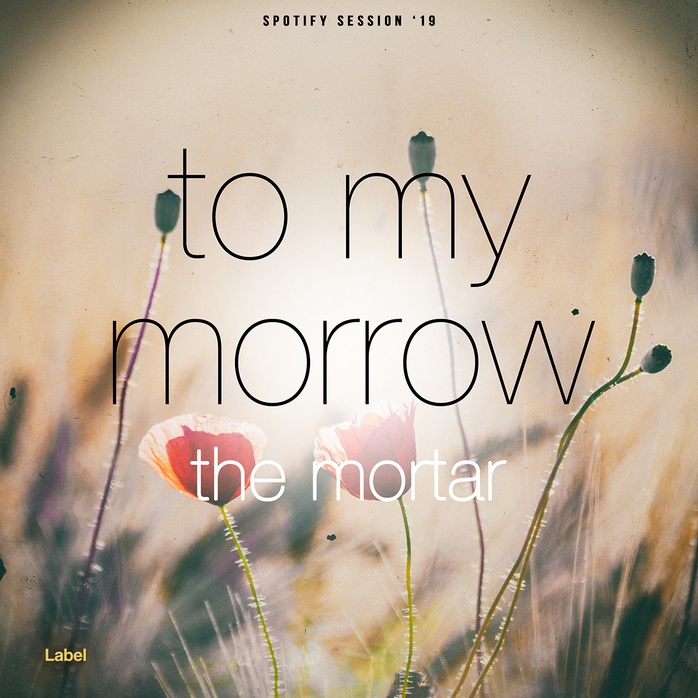 Premade Book Cover Akaroa