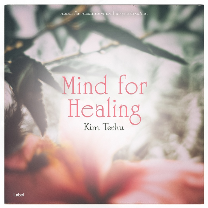 Premade Book Cover Swirl