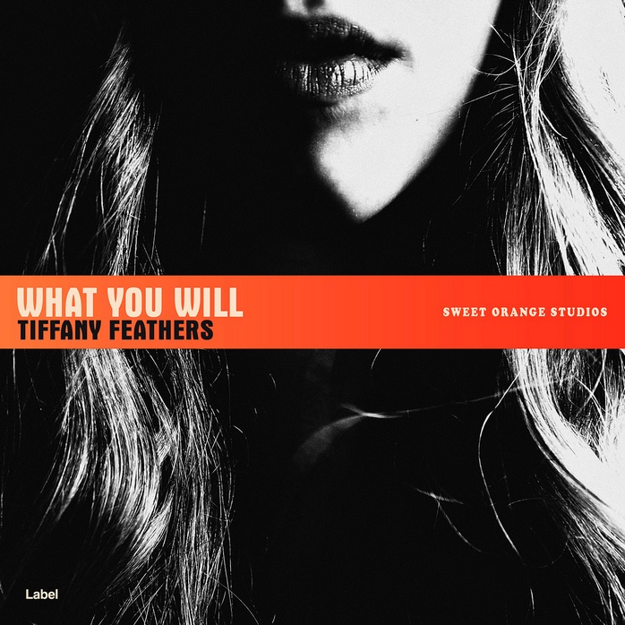Premade Book Cover Cod Gray