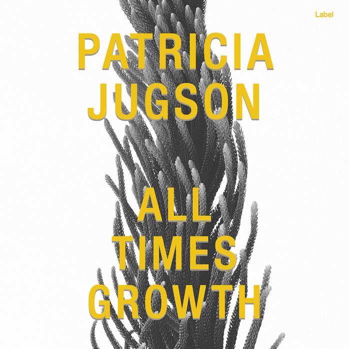 Premade Book Cover Concord