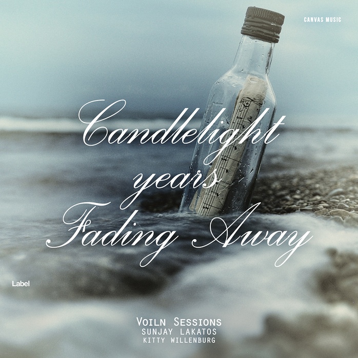 Premade Book Cover Pewter