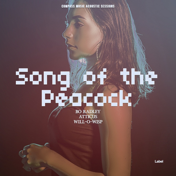Premade Book Cover Ferra