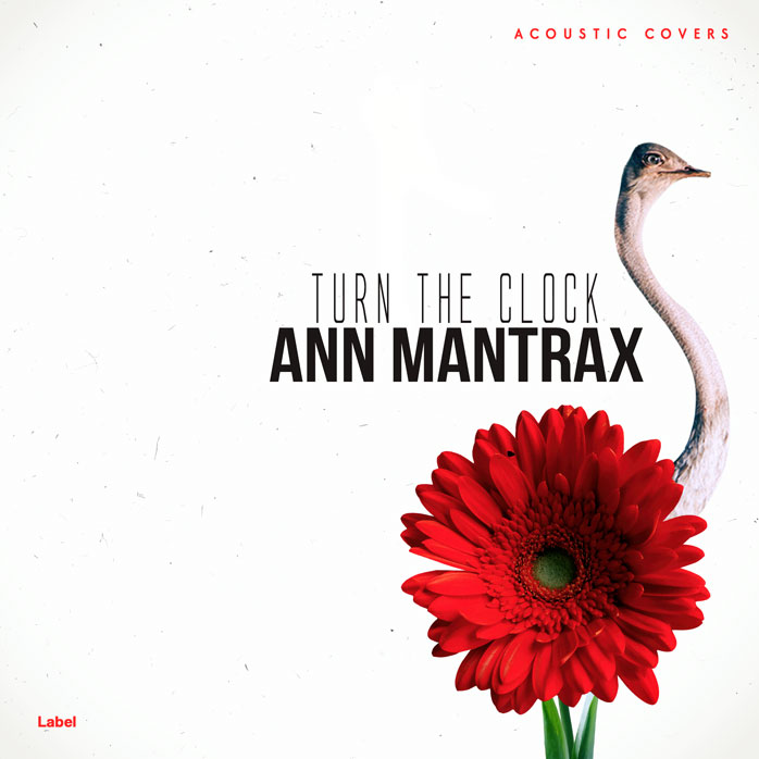 Premade Book Cover Thunderbird