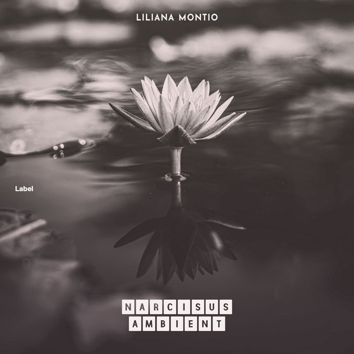 Premade Book Cover Tundora