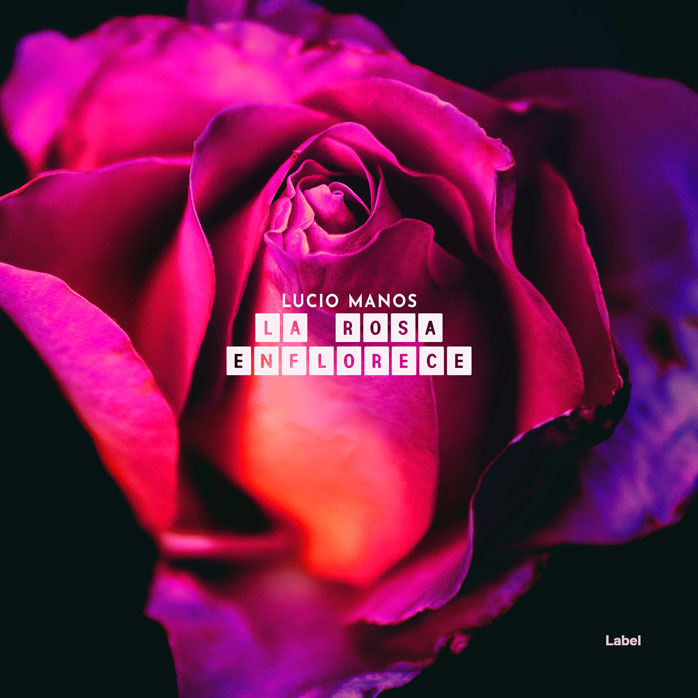 Premade Book Cover Cerise