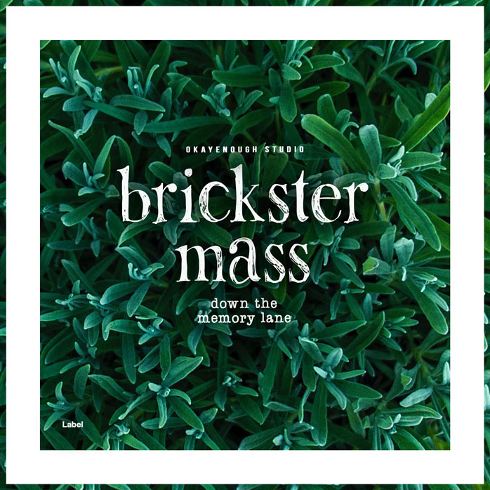 Premade Book Cover Bottle Green