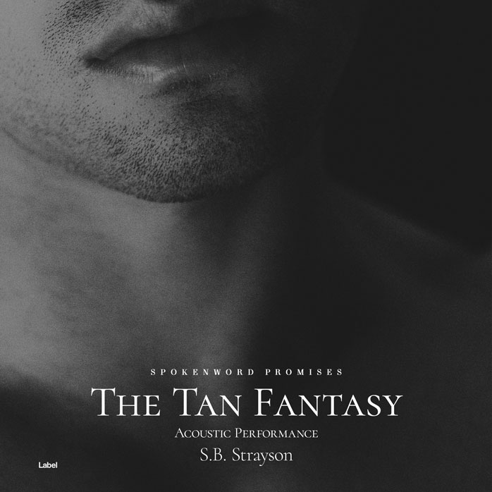 Premade Book Cover Mine Shaft