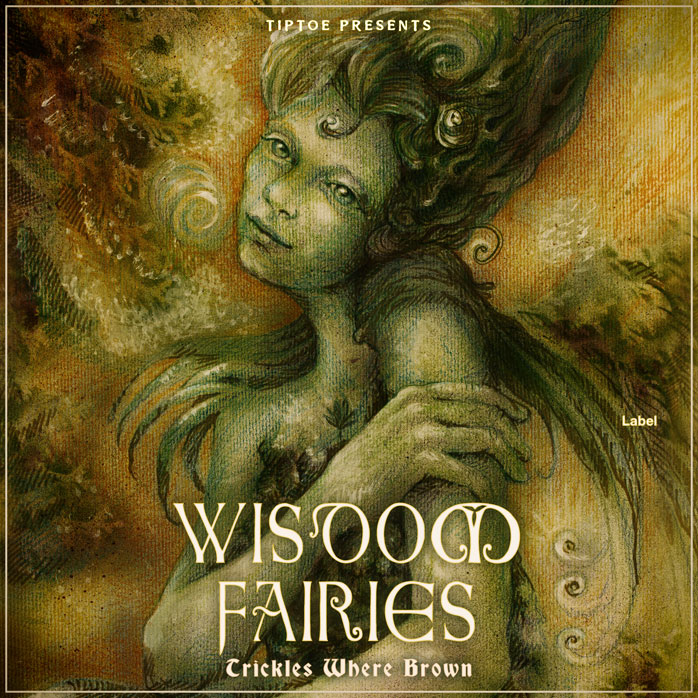 Premade Book Cover Dallas