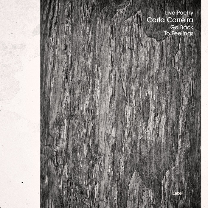 Premade Book Cover Dove Gray