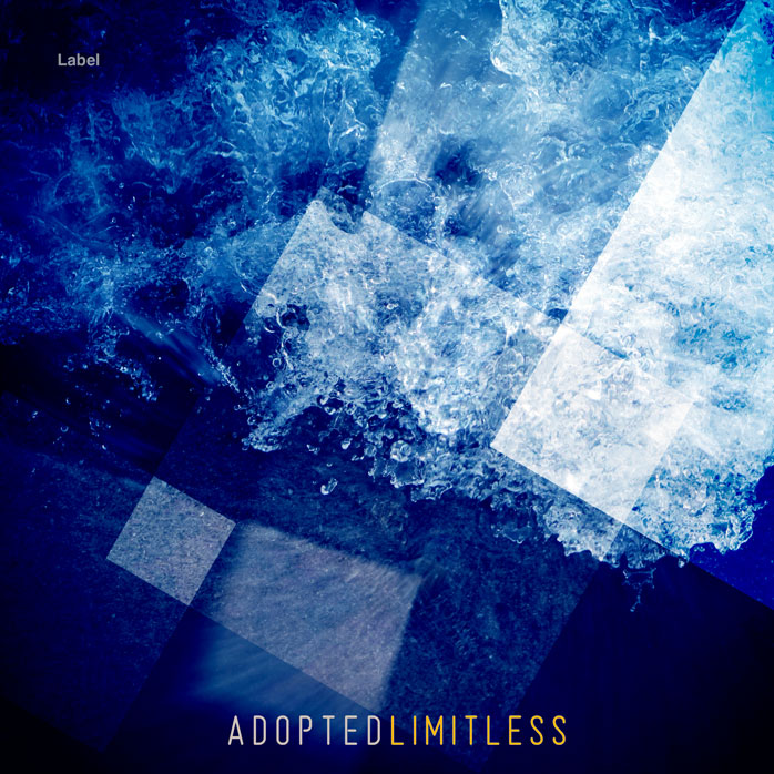 Premade Book Cover Madison