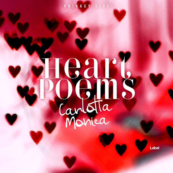 Premade Book Cover Cardinal