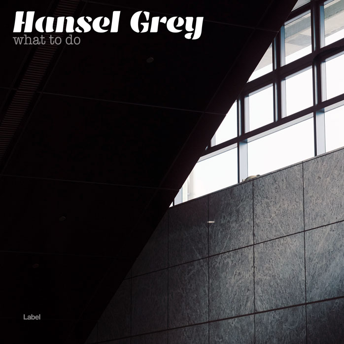 Premade Book Cover French Gray
