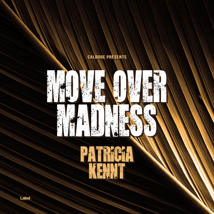 Premade Book Cover Straw