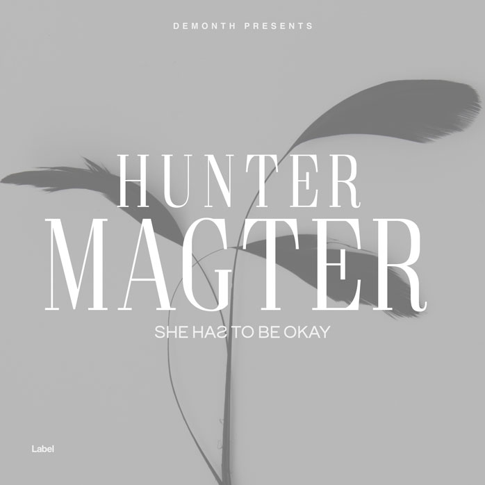 Premade Book Cover Silver