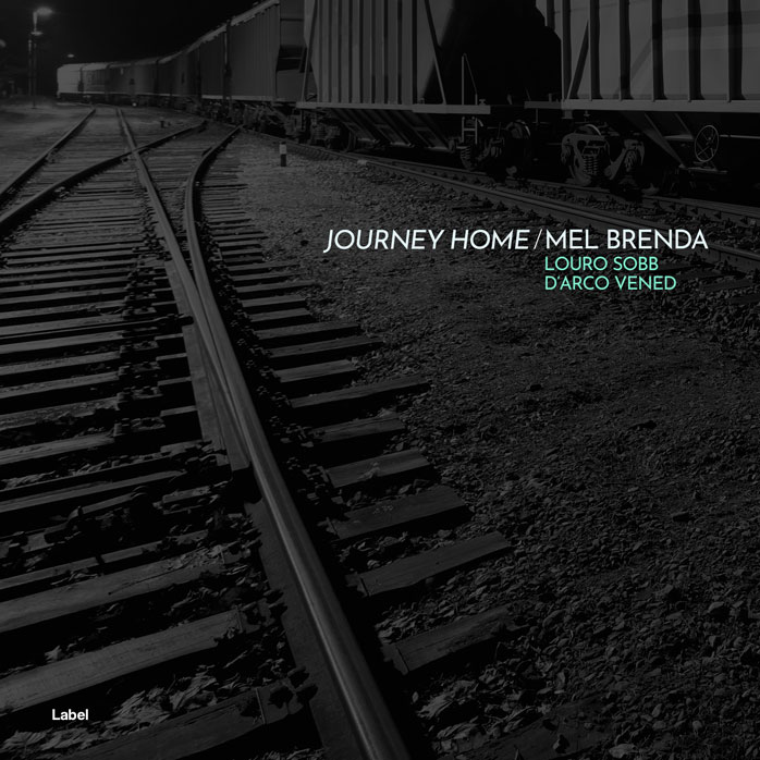 Premade Book Cover Cod Gray