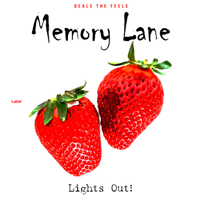Premade Book Cover Red Ribbon
