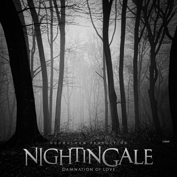 Premade Book Cover Silver Chalice