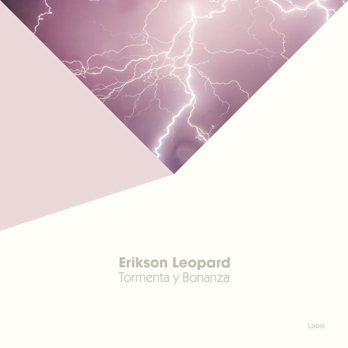 Premade Book Cover Hint of Red