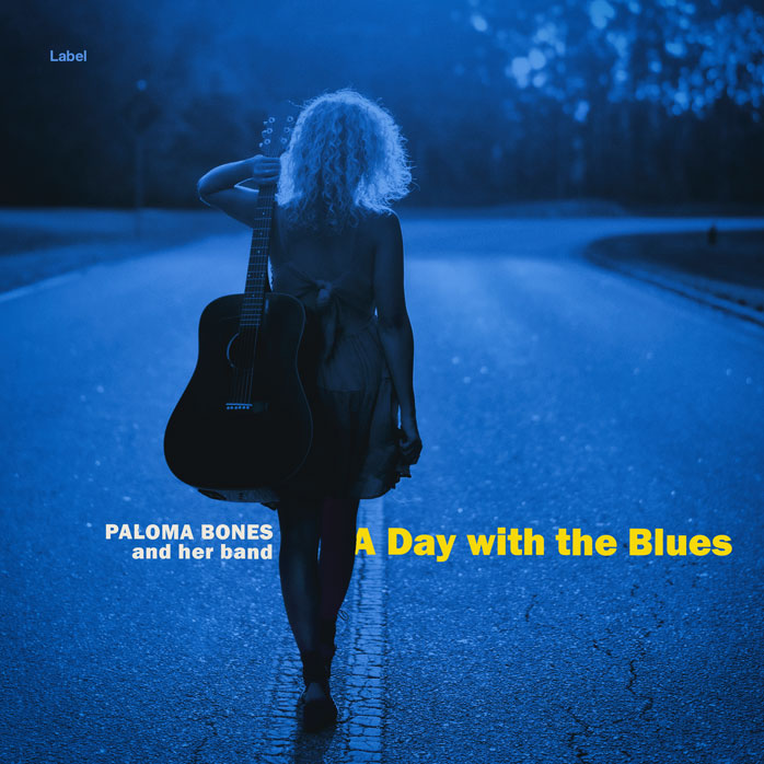 Premade Book Cover Tory Blue