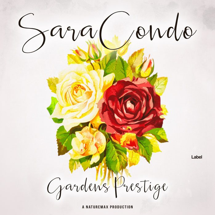 Premade Book Cover Pampas