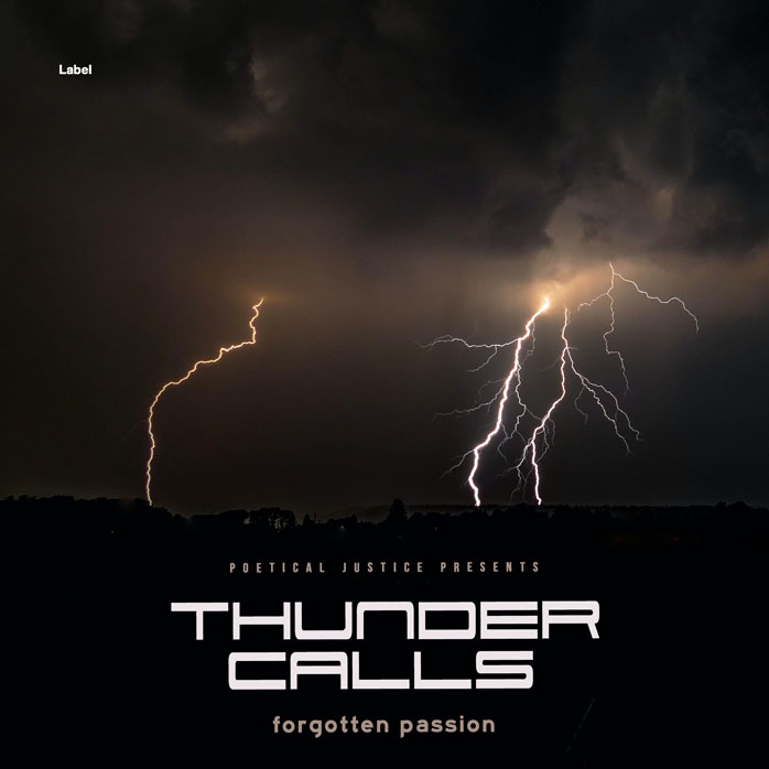 Premade Book Cover Cod Gray