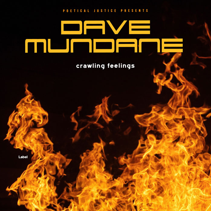 Premade Book Cover Zest