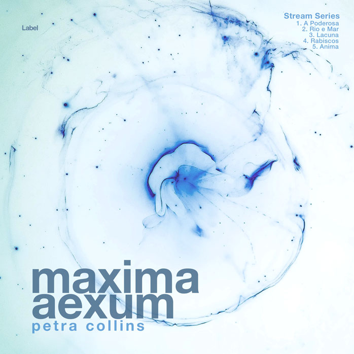 Premade Book Cover Polar